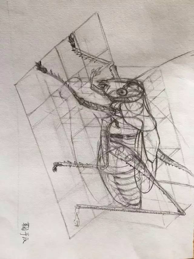 新雅cdie课程作业 | 《素描基础》习作展示